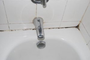 Should I Replace the Drywall? - Bathtub Mold