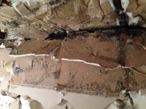 Stucco Water Intrusion