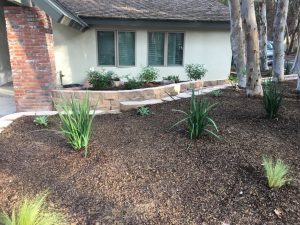Stucco Water Intrusion - Repaired DAD's Construction