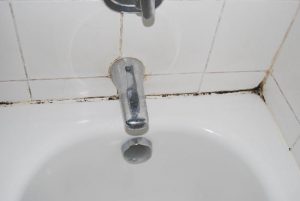 Mold In Bathroom