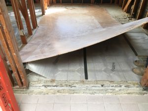 Laminate Floor and Mold