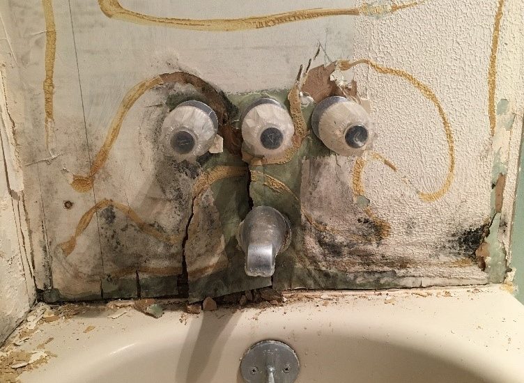Mold in Bathroom