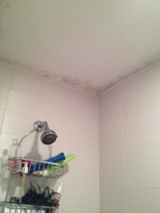 Mold in Bathroom - Bathroom Exhaust Fan