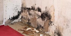 Mold In Bathroom