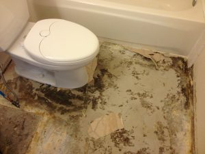 Mold under Floor - Bathroom Exhaust Fan