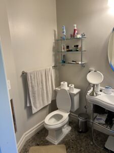 Guest Bathroom and Bedroom Remodel